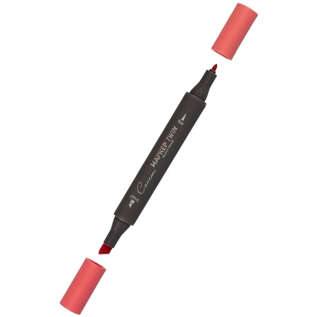 ����� ������ TWIN ��������������, ����������