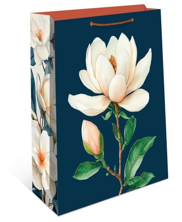 ����� ���������� 26�32 ��� � ������