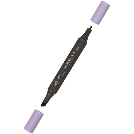 ����� ������ TWIN ��������������, ����������