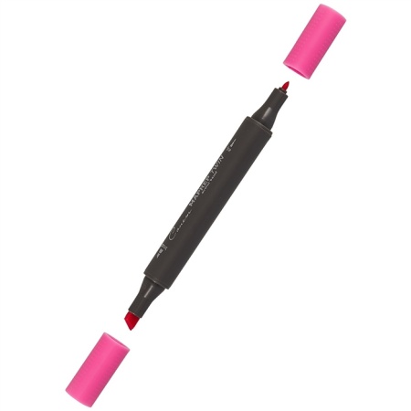 ����� ������ TWIN ��������������, ����-�������