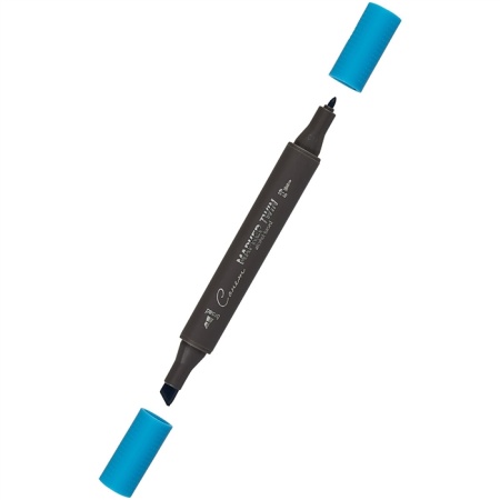 ����� ������ TWIN ��������������, ��������� �����